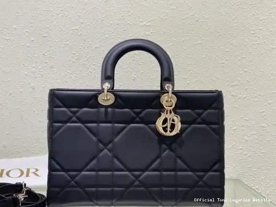 Tony Luxuries D-Sire diro-35*23*15CM diro ABC My Lady 0602